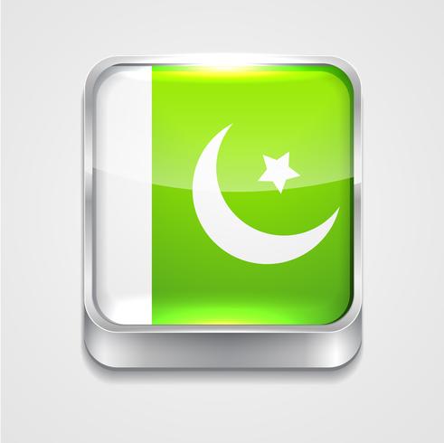 bandera de pakistan vector