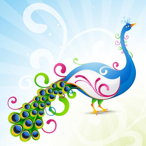 artistic peacock vector