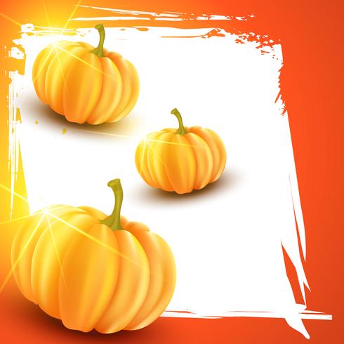 vector pumpkin 221437 - Download Free Vectors, Clipart Graphics