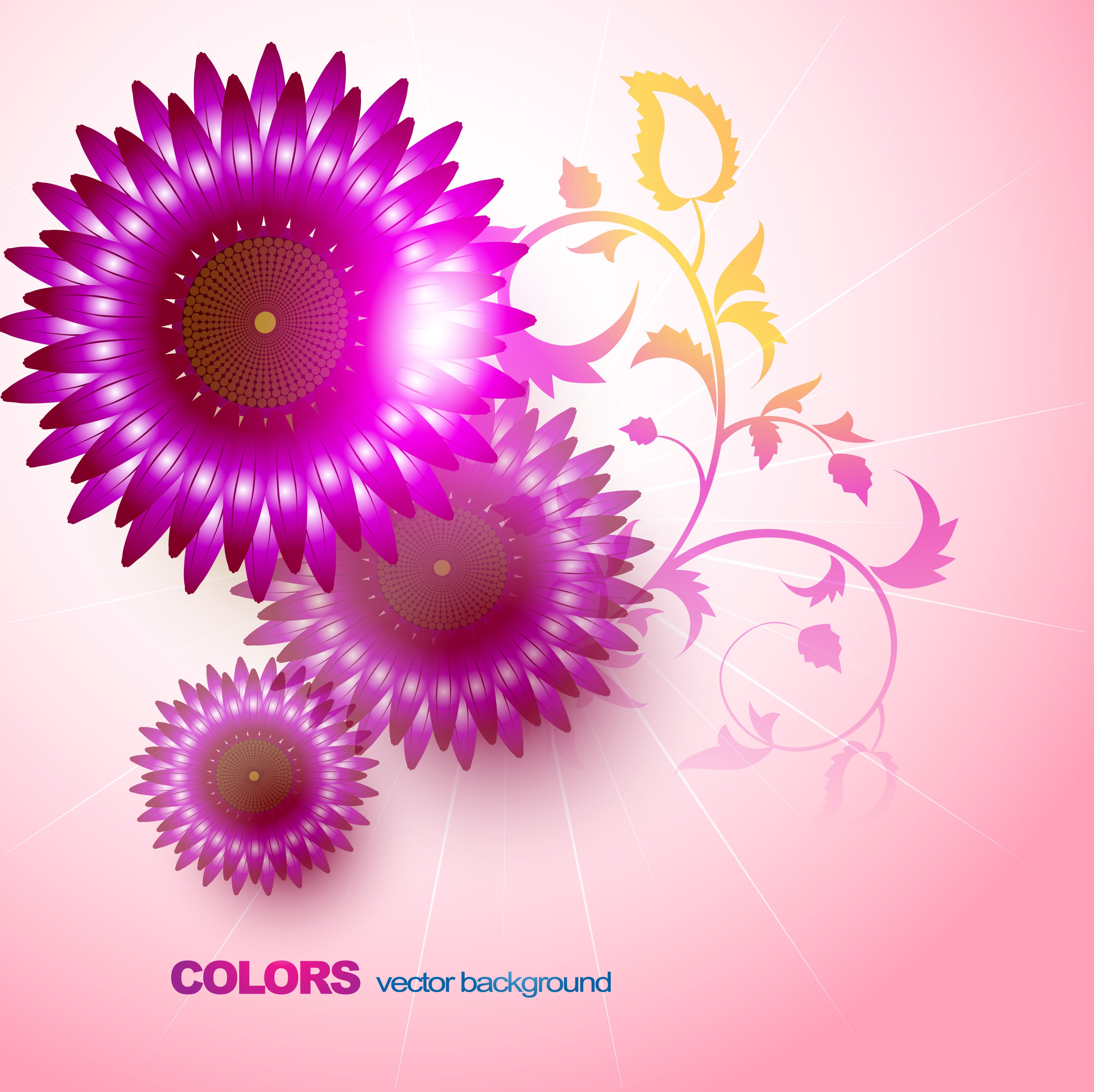 flower background 221790 Vector Art at Vecteezy