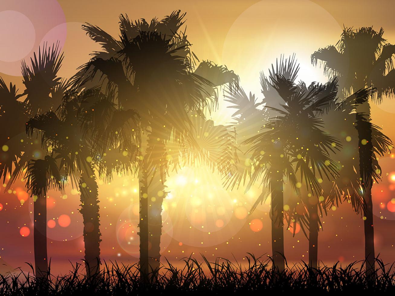 Palm trees at sunset 222629 Vector Art at Vecteezy