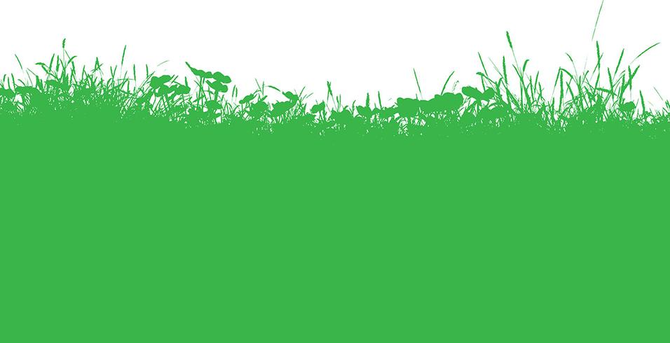 Grassy landscape vector