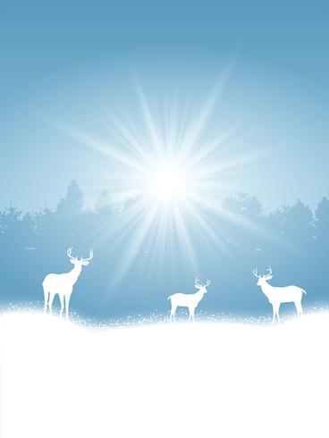 Christmas winter background vector