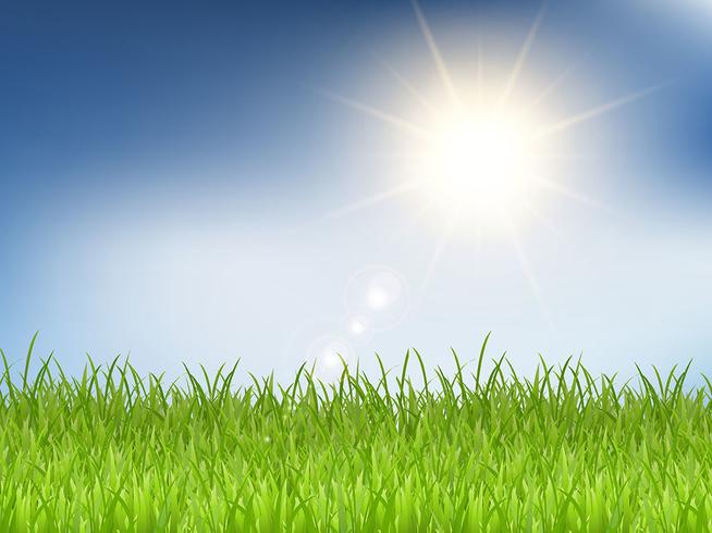 Grass and sunny blue sky  vector