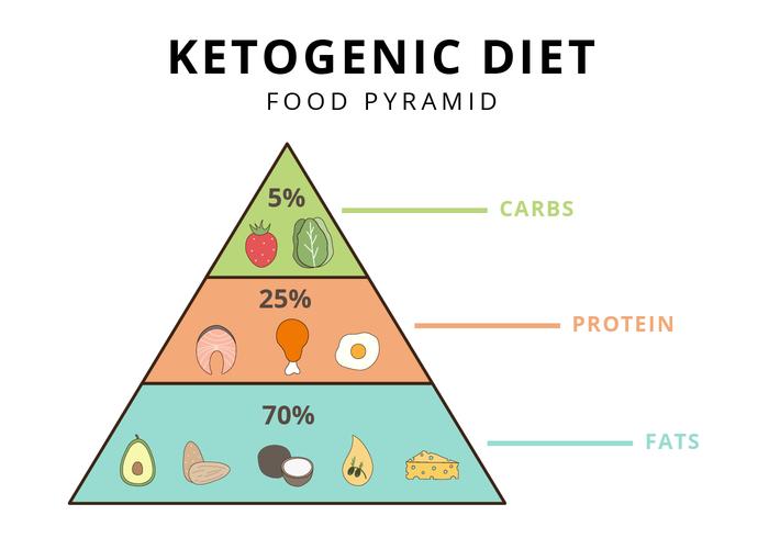 Ketogenic Diet Food Pyramid Vector Illustrator