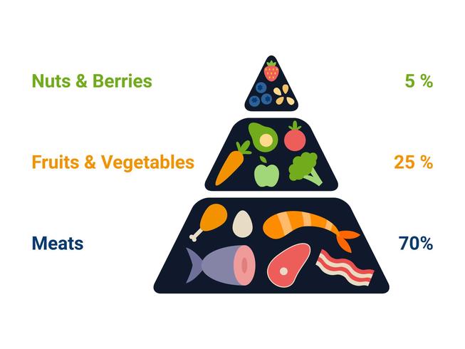 Unique Ketogenic Diet Vectors