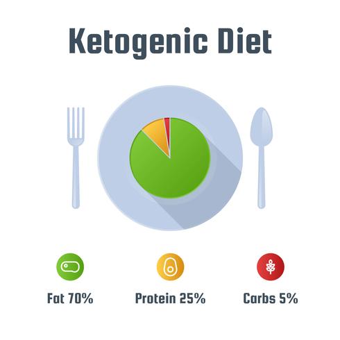 Vectores únicos de dieta cetogénica