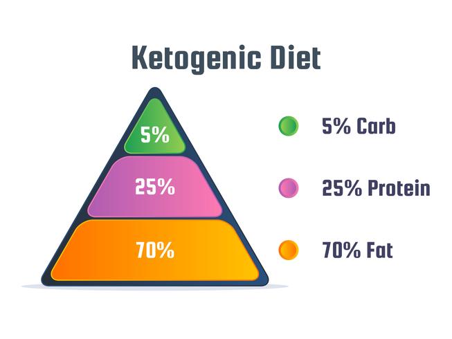 Unique Ketogenic Diet Vectors