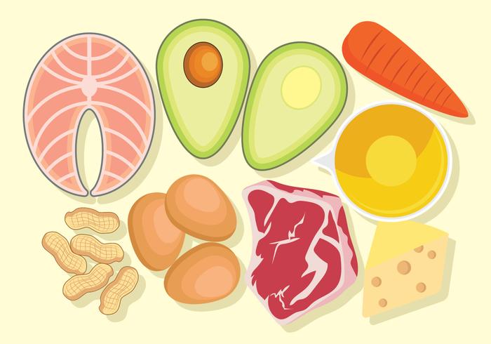 Comida dietética cetogénica vector