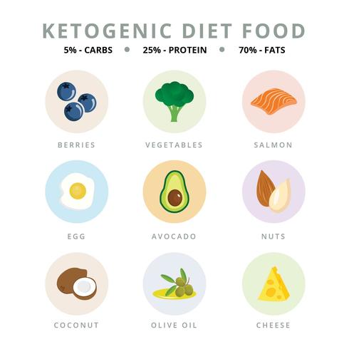 Ilustrador de vector de dieta cetogénica