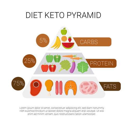 Pirámide de la dieta Keto vector