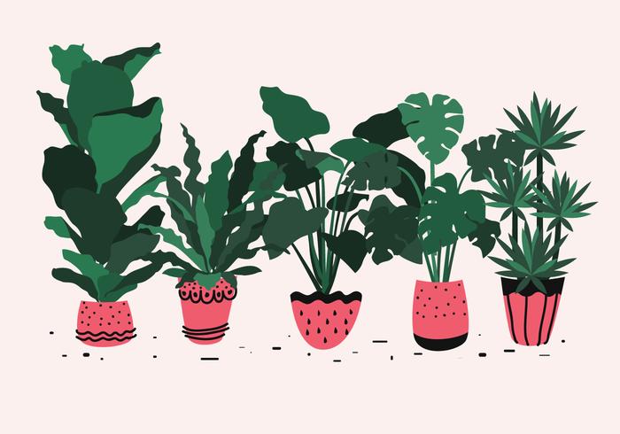 Potted Big Plant Vector