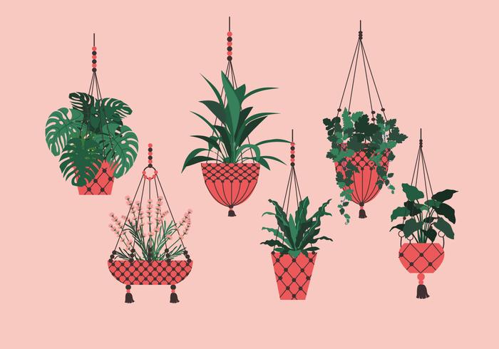 Potted Plant Hanging Vector