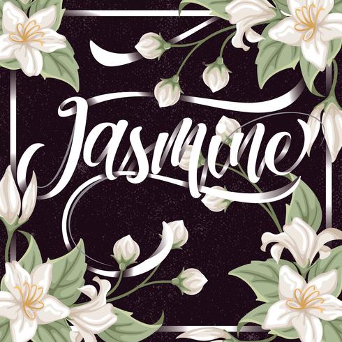 Jasmine Background vector