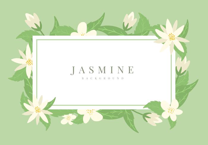 Jasmine Vector Background