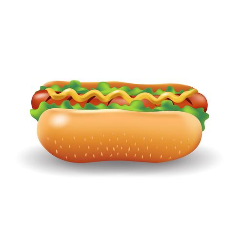 Realistic Fast Food vector