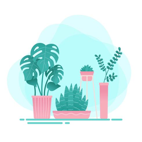 Vector de plantas en macetas