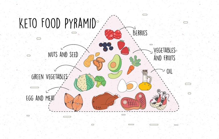 Ketogenic Diet Pyramid Vector