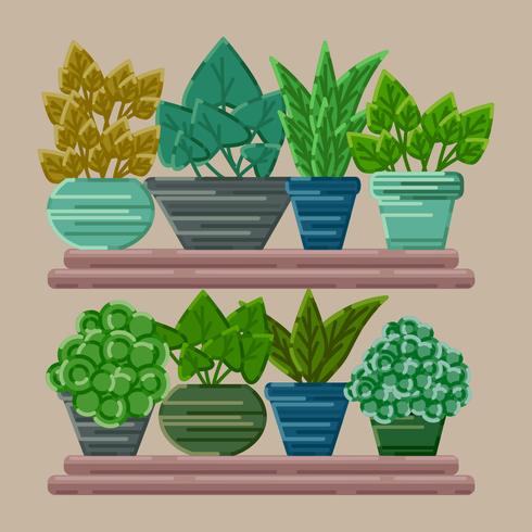 Colección Vector Potted Plants