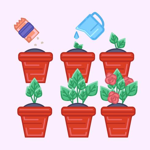 Vector Potted Plant Growing 