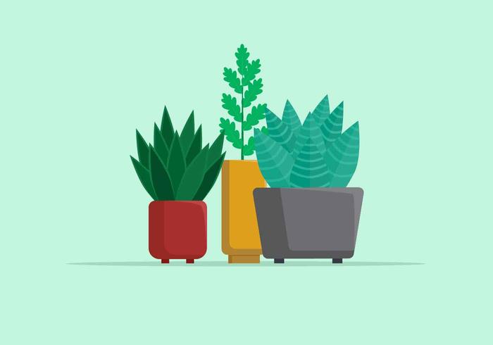 Potted Plant Vector Illustration