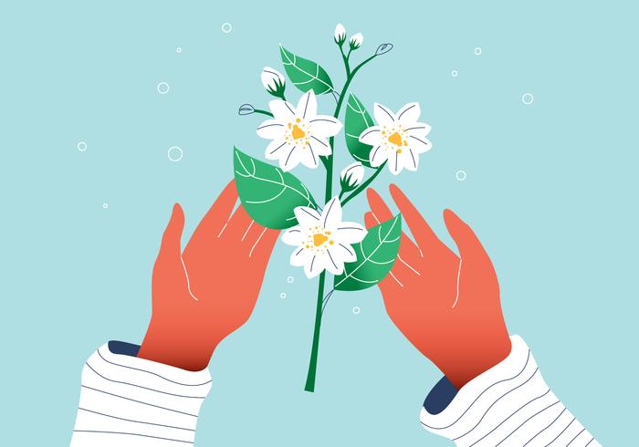 White Gorgeous Jasmine Flower On Hands Vector Flat Illustration