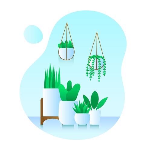 Conjunto de plantas en macetas vector