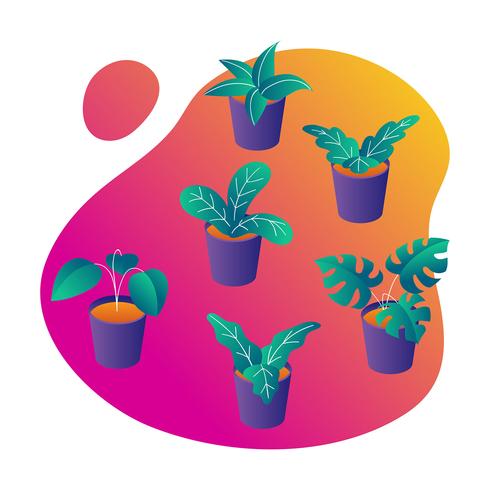 Vector conjunto de plantas en maceta