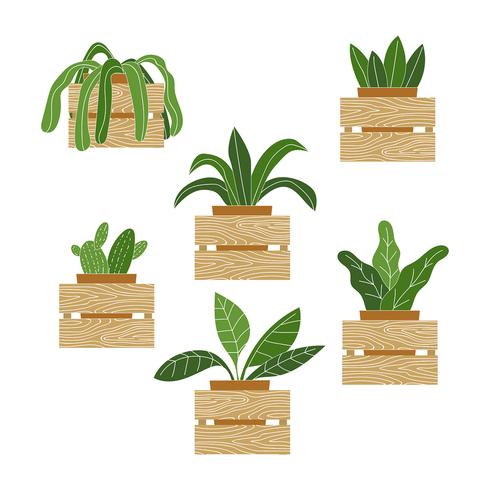 Vector de pared de plantas en macetas
