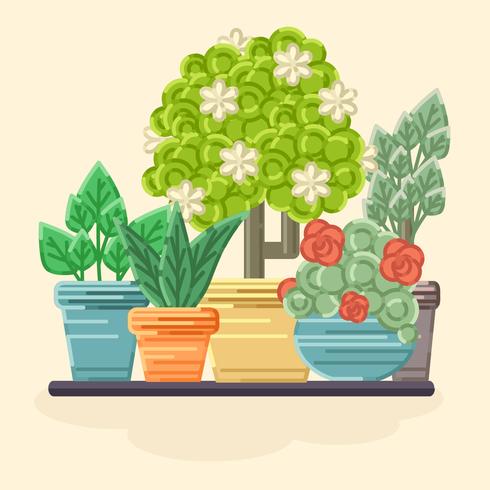 vector coloful plantas