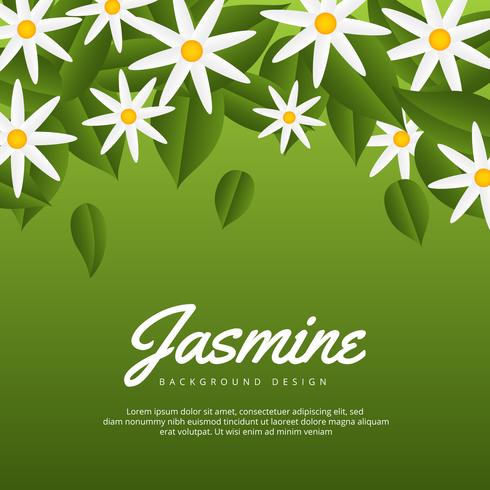 Fondo de flor de jazmín vector