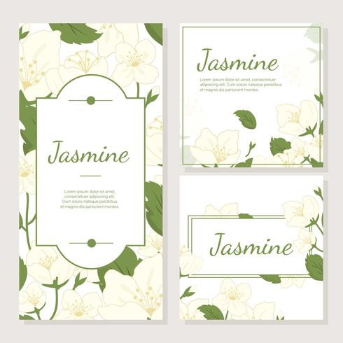 Invitation Card With Jasmine Flower Vector