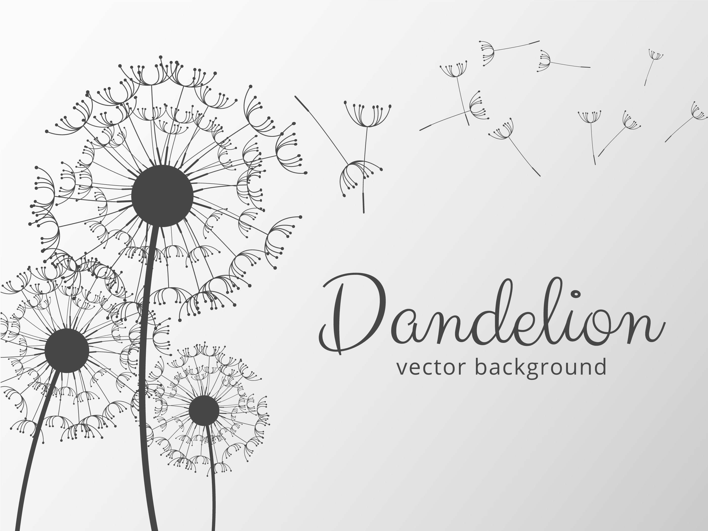 Download Free Vector of the Day #41: Dandelion Background 226320 - Download Free Vectors, Clipart ...