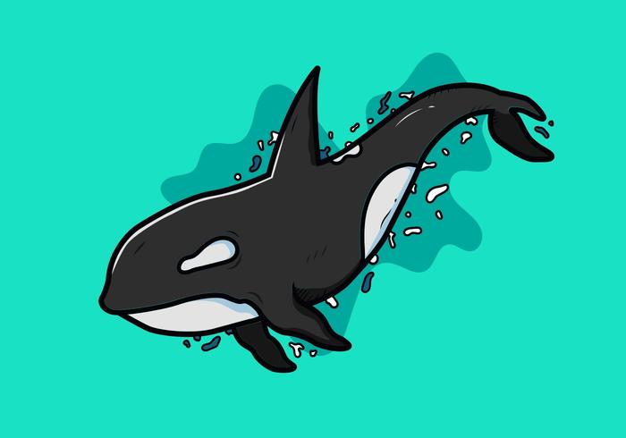 Vector de orcas asesinas