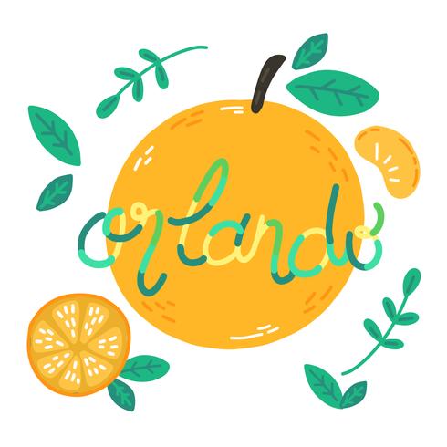 Cute Oranges With Lettering Abput Orlando City vector