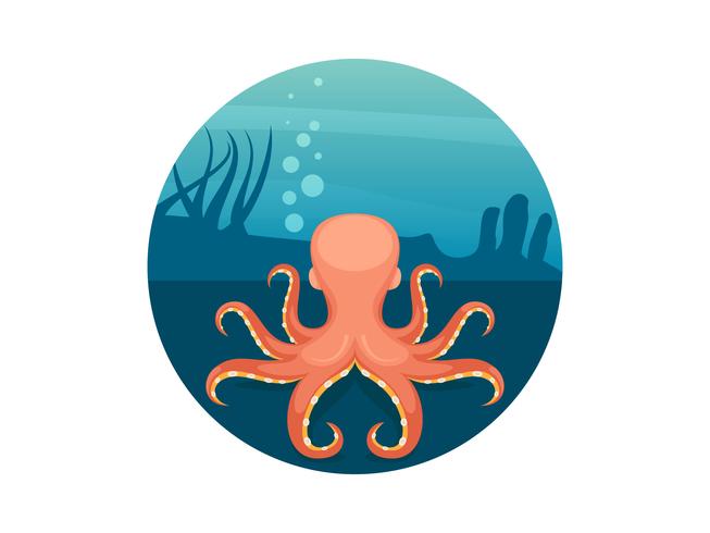 Unique Octopus Food Vectors