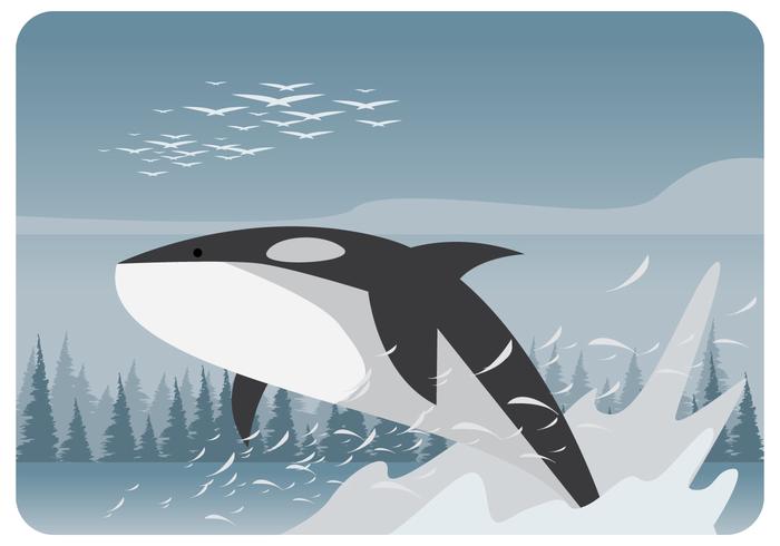 Killer Whales on The Lake vector