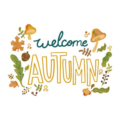 Cute Autumn Elements As Leaves, Mushrooms And Branches With Lettering vector