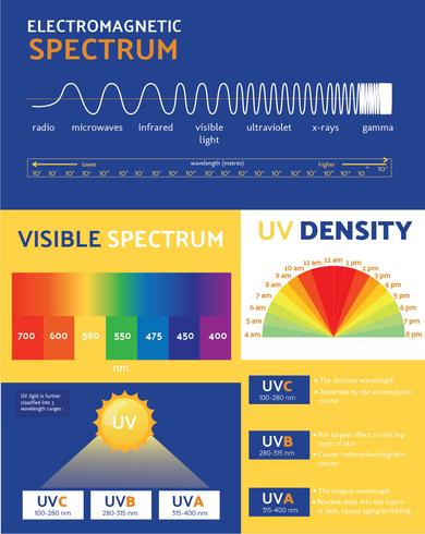 Utraviolet Infographic Vector