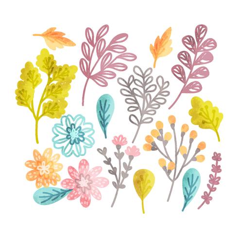 Vector Hand Drawn Floral Elements