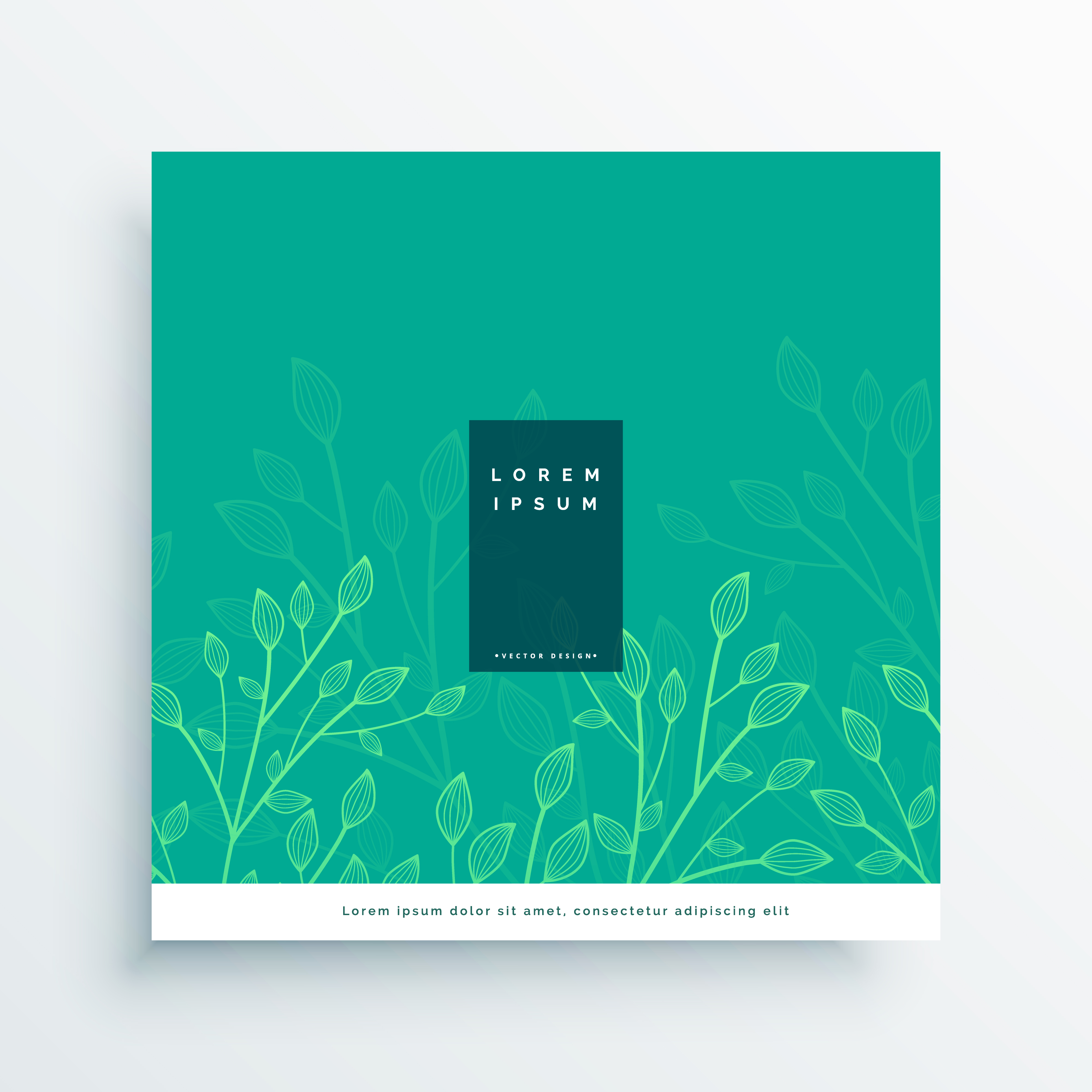 leaves nature card design background - Download Free Vector Art, Stock