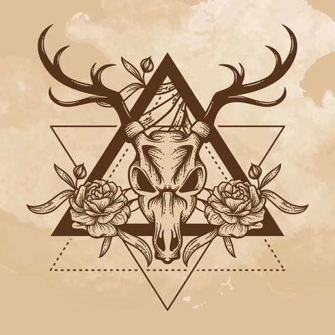 Deer Skull  vector