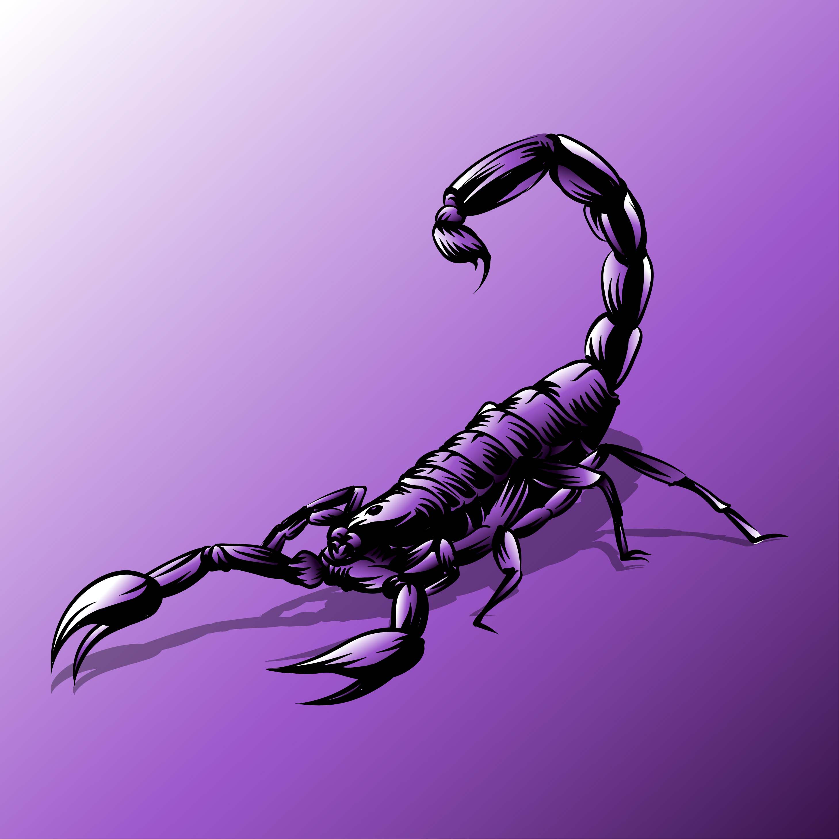 40 3D Scorpion Tattoo Designs For Men  Stinger Ink Ideas  Scorpion tattoo  Scorpio tattoo Tattoos