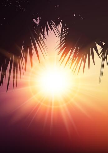 Palm tree leaves on summer background vector