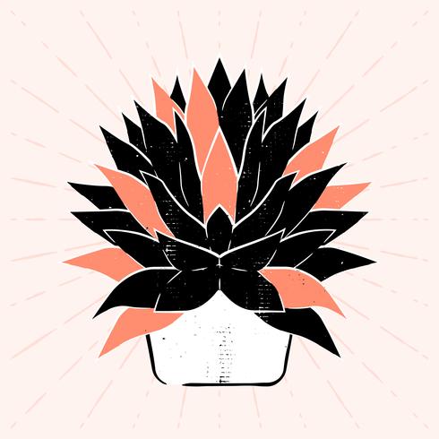 Succulents Hand-drawn Linocut Vector Illustration Isolated On Background