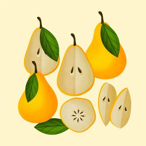 Vector Hand Drawn Pears