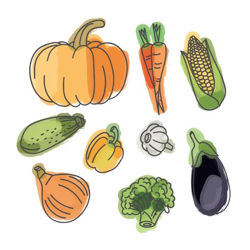 Vegetables With Watercolor Stains vector