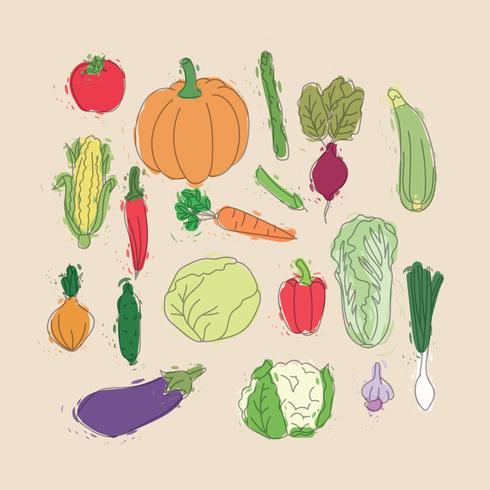 Set of Watercolor Vegetables vector