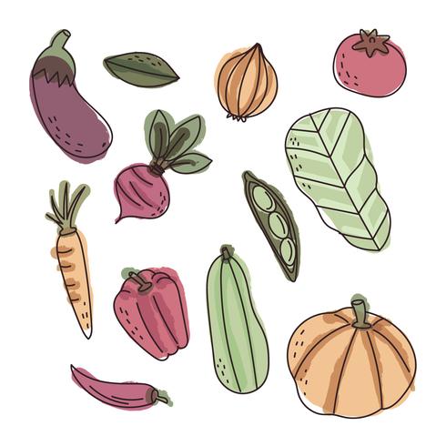 Colorful Watercolored Vegetables vector