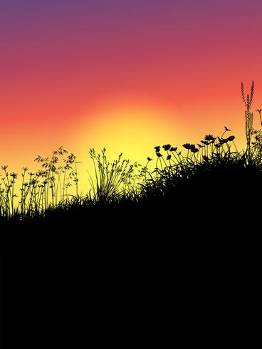 Grass and flowers at sunset  vector